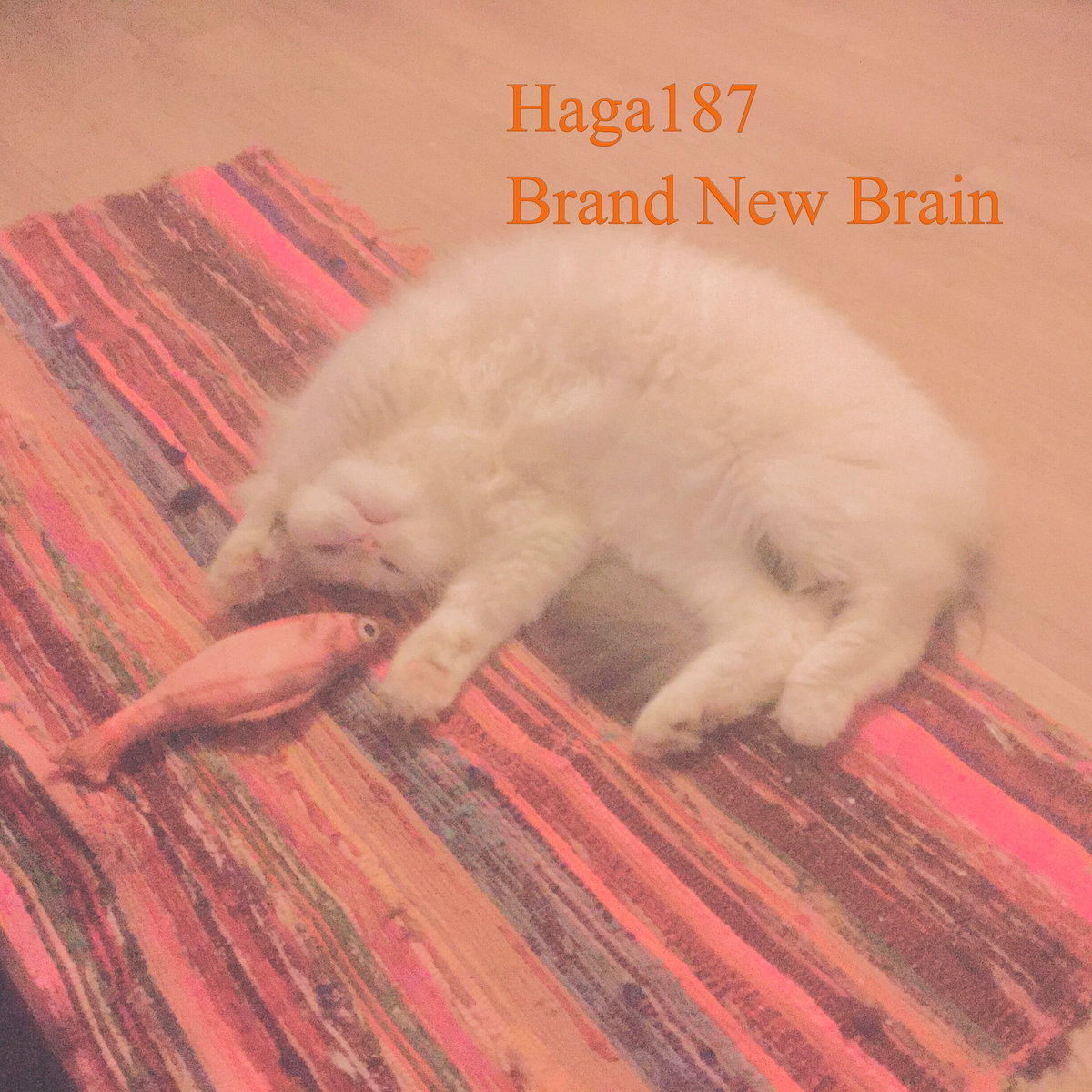 Brand New Brain — album cover